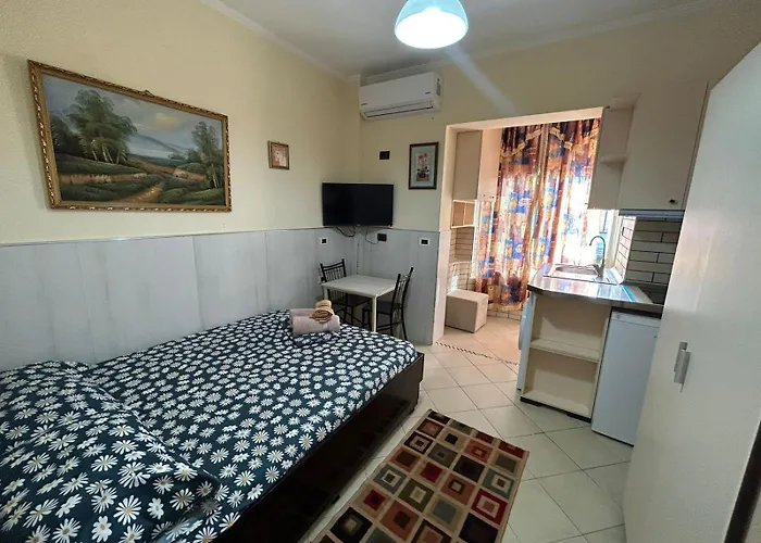 Lively Apparament 1a *